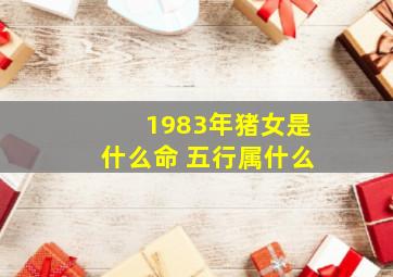 1983年猪女是什么命 五行属什么